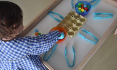 School Dining Service